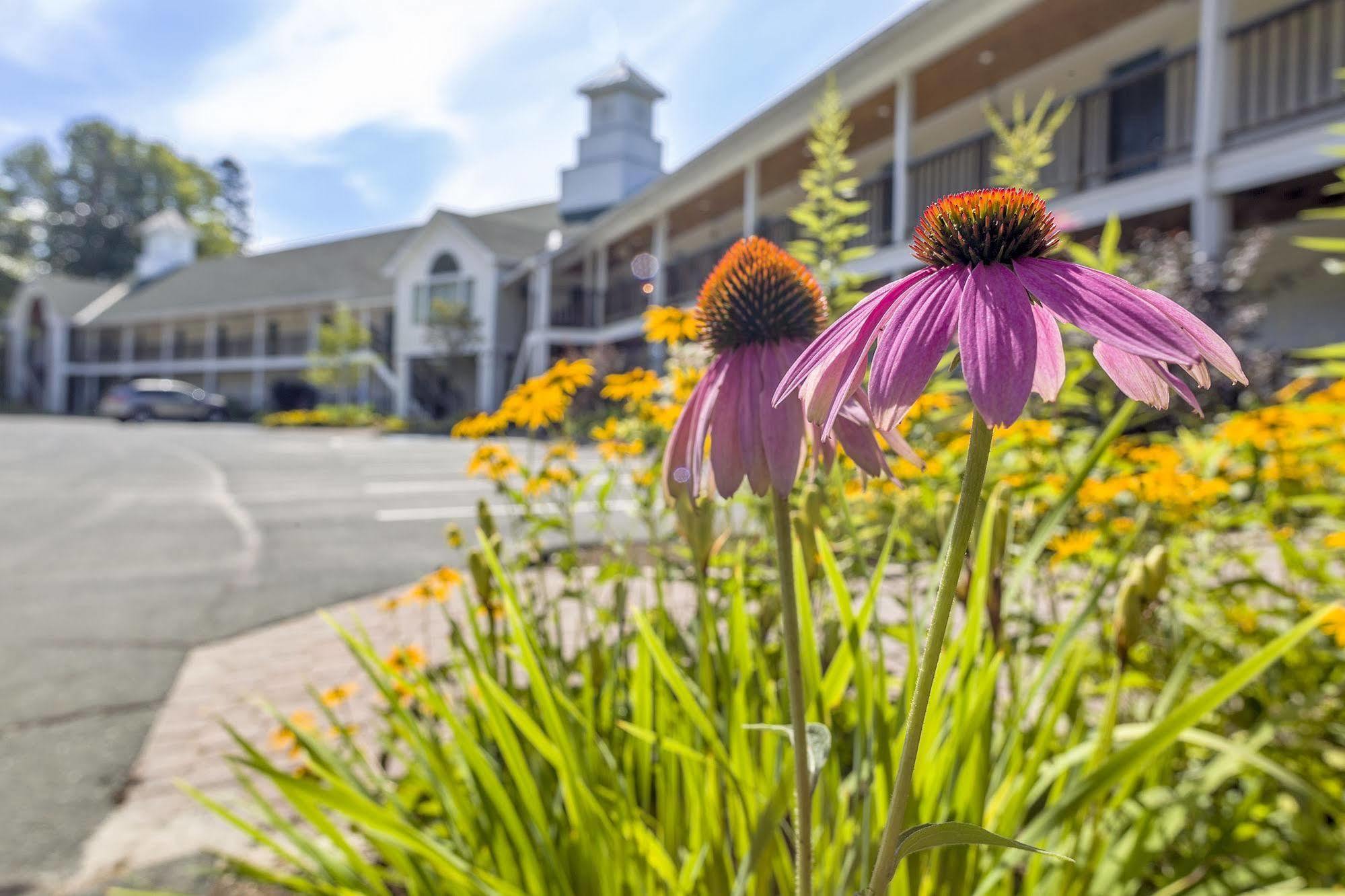 Fairbanks Inn Saint Johnsbury Ngoại thất bức ảnh